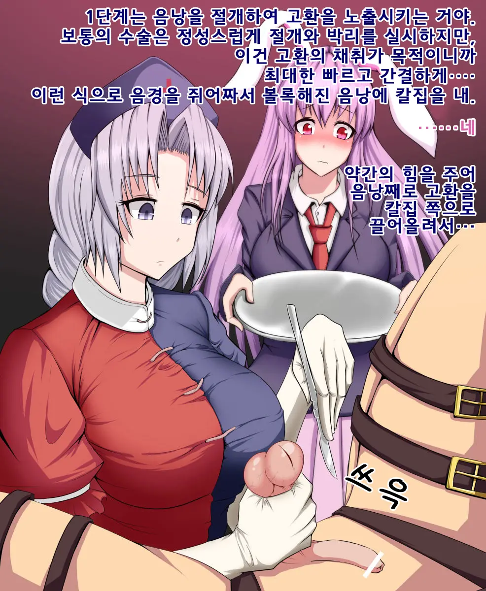 Eirin To Udonge No Kyousei Kougan Tekishutsu Shujutsu L 에이린과 우동게의 강제 고환 적출 수술